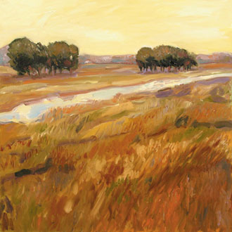 Landscape Fields on Canvas
